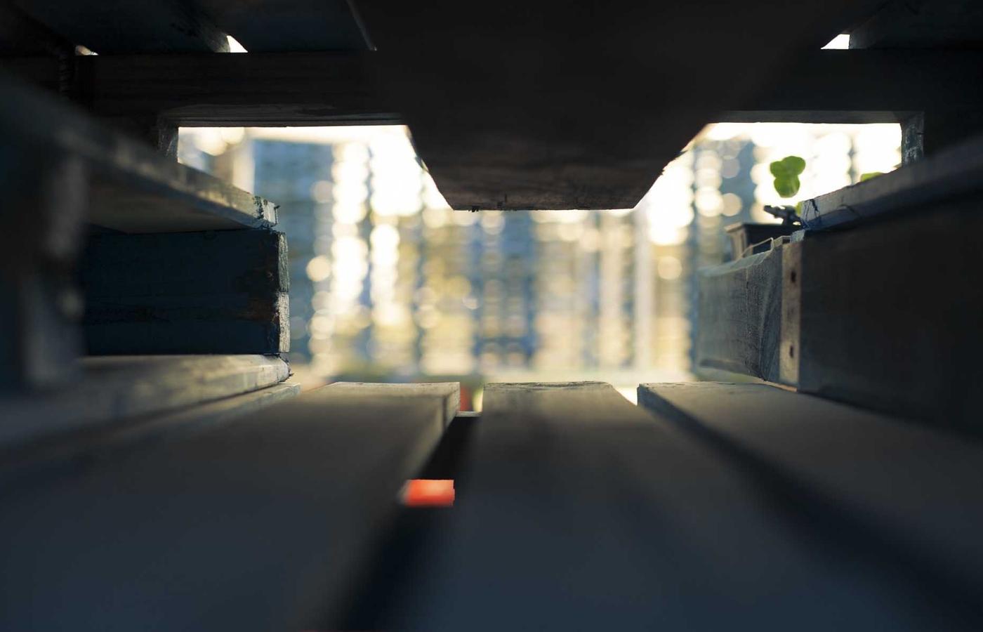 Клиент фотосы