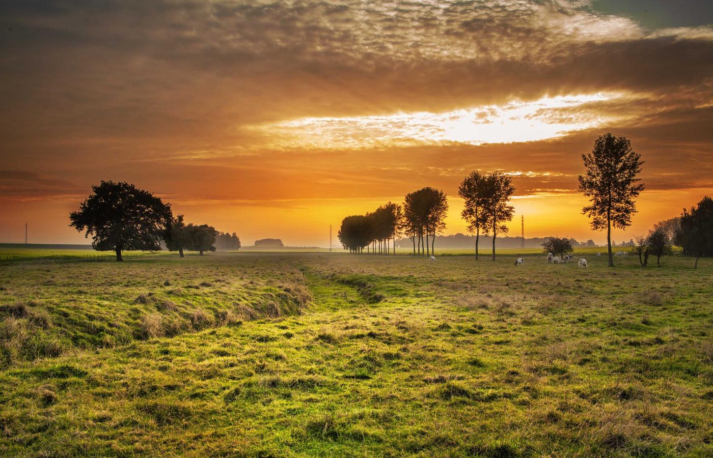 Мадина Оспанова