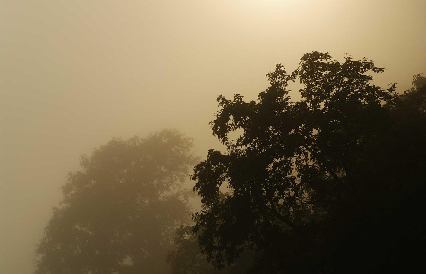 Басқарылатын IT қызметтер